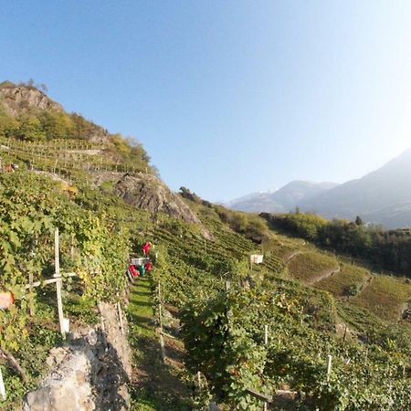 Winebnb Sondrio Bagian luar foto